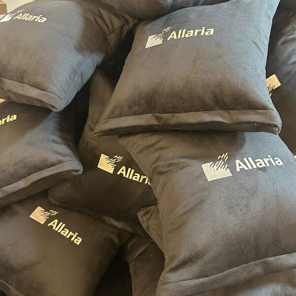 ALMOHADON-ALLARIA-VIP-2